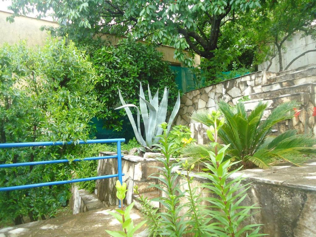 Apartments Villa Petranovic Budva Kamer foto