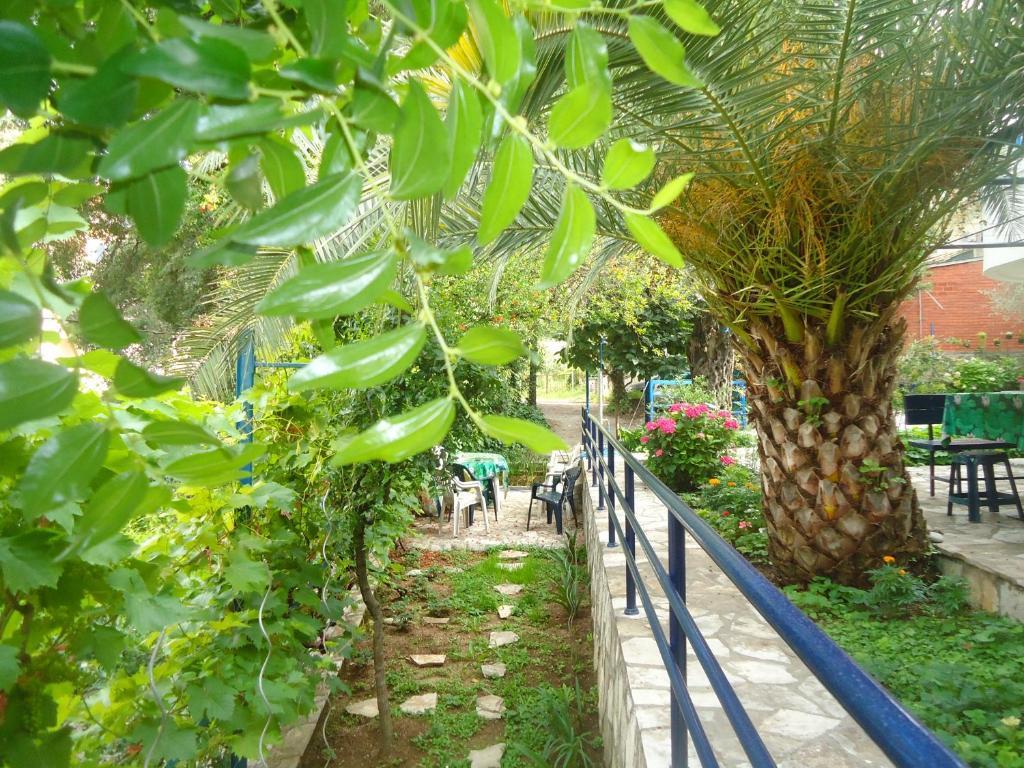 Apartments Villa Petranovic Budva Kamer foto
